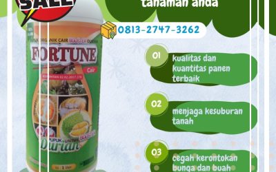 TERBAIK! CALL 0812-2882-4834, PUSAT pupuk durian Palu, pupuk durian agar cepat berbuah Banggai, pupuk durian agar tidak rontok Luwuk