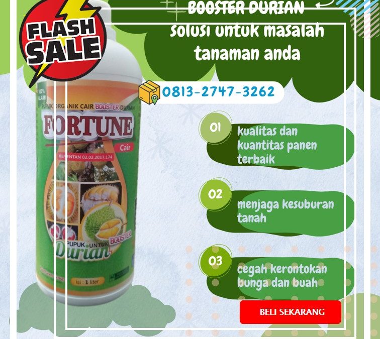 TERBAIK! CALL 0812-2882-4834, PUSAT pupuk durian Palu, pupuk durian agar cepat berbuah Banggai, pupuk durian agar tidak rontok Luwuk