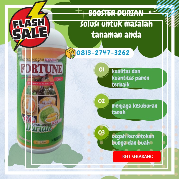 PUSAT pupuk durian Palu, pupuk durian agar cepat berbuah Banggai, pupuk durian agar tidak rontok Luwuk