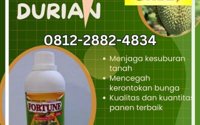 TERBAIK! 0812-2882-4834 Pusat pupuk durian agar cepat besar Donggala, Toko pupuk durian agar berbuah lebat Banawa, Jual pupuk durian awal tanam Tolitoli