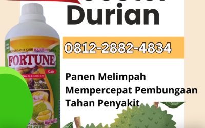 ALAMI! 0812-2882-4834 Pusat pupuk durian umur 1 tahun Banggai, Toko pupuk durian baru tanam Luwuk, Jual pupuk durian agar manis Poso