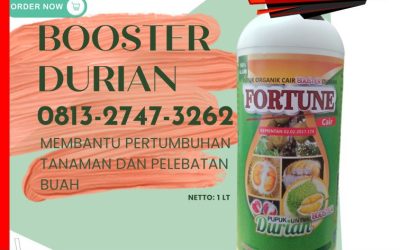 TANGAN PERTAMA! CALL 0812-2882-4834, SUPPLIER pupuk buah durian agar tidak rontok Tolitoli, pupuk untuk durian baru tanam Buol, pupuk durian Buol