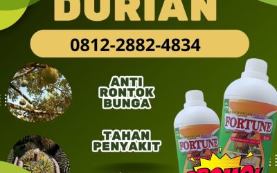 TERMURAH! 0812-2882-4834 Jual pupuk durian Sulawesi Tengah, Distributor pupuk durian agar cepat berbuah Palu, Pusat pupuk durian umur 1 tahun Banggai