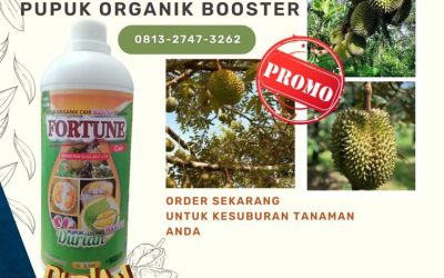 GROSIRAN! CALL 0812-2882-4834, TOKO pupuk durian bawor Tolitoli, pupuk buah durian agar tidak rontok Tolitoli, pupuk untuk durian baru tanam Buol