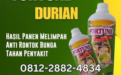 ALAMI! 0812-2882-4834 Toko pupuk durian agar berbuah lebat Banawa, Jual pupuk durian awal tanam Tolitoli, Distributor pupuk durian agar berbuah Tolitoli