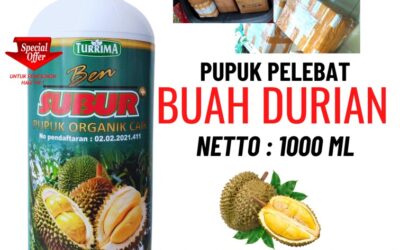 ALAMI!!! TELP! 0823-2292-4990, SUPPLIER pupuk durian umur 1 tahun Ponorogo, PENYEDIA pupuk durian yang bagus Blitar, PABRIK pupuk durian agar cepat berbuah Lumajang