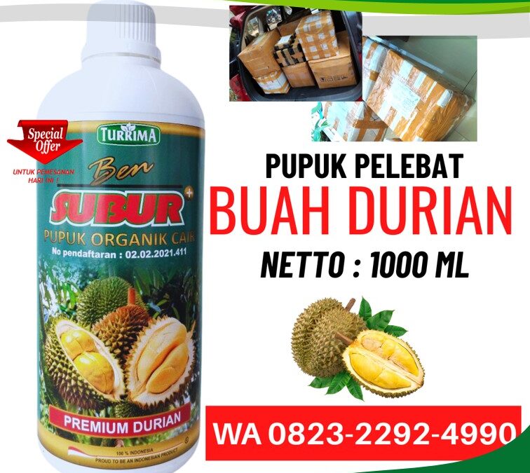 ALAMI!!! TELP! 0823-2292-4990, SUPPLIER pupuk durian umur 1 tahun Ponorogo, PENYEDIA pupuk durian yang bagus Blitar, PABRIK pupuk durian agar cepat berbuah Lumajang