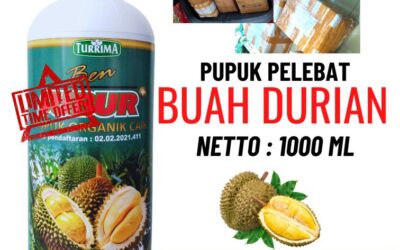 AMPUH!!! TELP! 0823-2292-4990, PENYEDIA pupuk durian yang bagus Blitar, PABRIK pupuk durian agar cepat berbuah Lumajang, JUAL pupuk durian agar berbuah lebat Ngawi