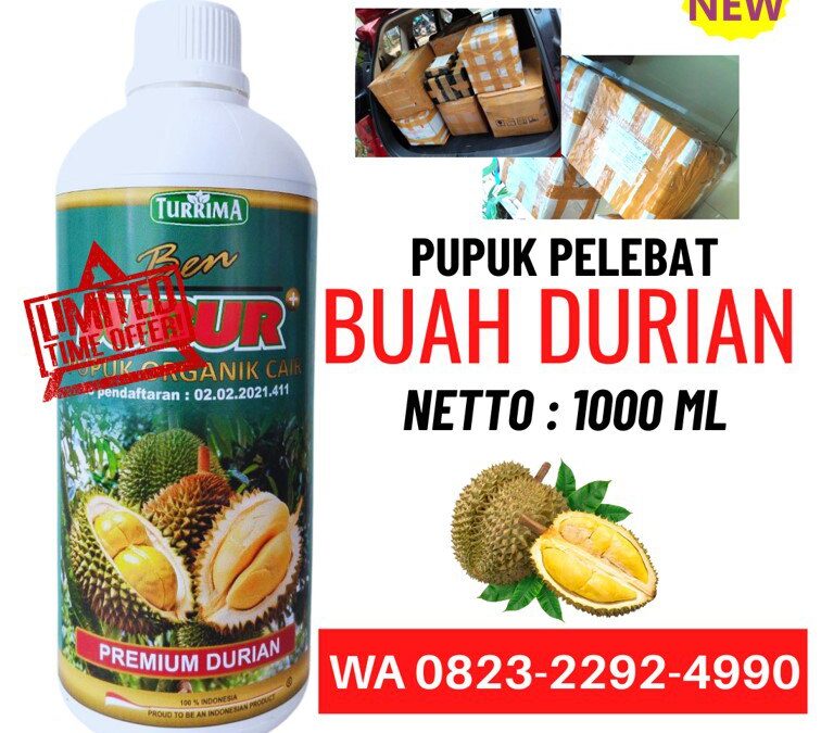 AMPUH!!! TELP! 0823-2292-4990, PENYEDIA pupuk durian yang bagus Blitar, PABRIK pupuk durian agar cepat berbuah Lumajang, JUAL pupuk durian agar berbuah lebat Ngawi