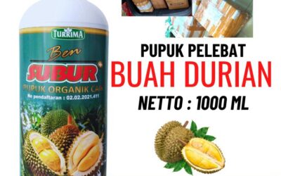 TERBAIK!!! TELP! 0823-2292-4990, PABRIK pupuk durian agar cepat berbuah Lumajang, JUAL pupuk durian agar berbuah lebat Ngawi, AGEN pupuk durian agar berbuah Pacitan