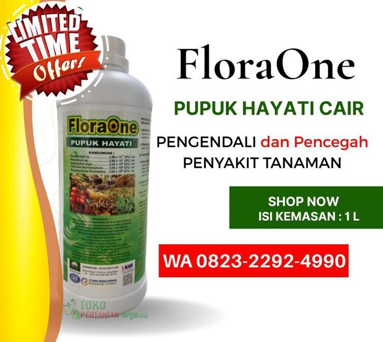 TERBAIK!!! TELP! 0823-2292-4990, PRODUSEN Pupuk kakao agar berbuah lebat dan besar Mamasa, TOKO Pupuk kakao terbaik Mamuju Tengah, SUPPLIER Pupuk kakao masa vegetatif Parigi Moutong