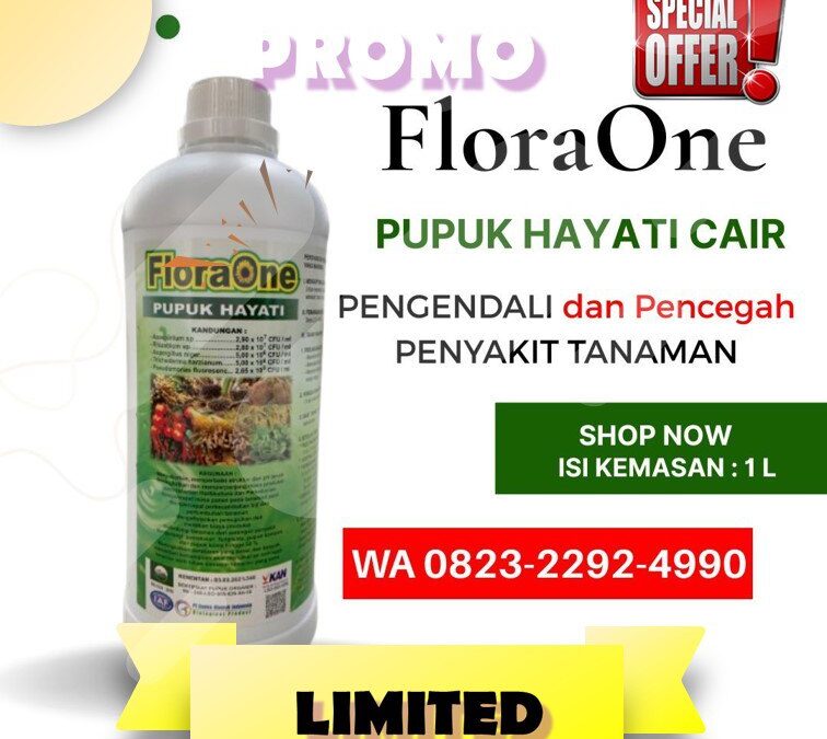 ALAMI!!! TELP! 0823-2292-4990, AGEN Pupuk kakao yang bagus Majene, DISTRIBUTOR Pupuk kakao umur 1 bulan PasangKayu, PRODUSEN Pupuk kakao agar berbuah lebat dan besar Mamasa
