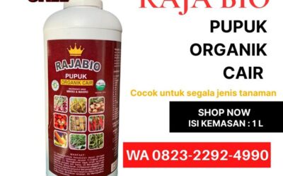 PROMO AMBYAR!!! TELP! 0823-2292-4990, SUPPLIER Pupuk tembakau dari awal sampai akhir Sumbawa, PENYEDIA Pupuk tembakau umur 1 bulanun Sumbawa Barat, PABRIK Pupuk tembakau fertila Kota Mataram