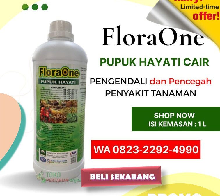 ORGANIK!!! TELP! 0823-2292-4990, JUAL Pupuk kakao baru tanam Mamuju, AGEN Pupuk kakao yang bagus Majene, DISTRIBUTOR Pupuk kakao umur 1 bulan PasangKayu
