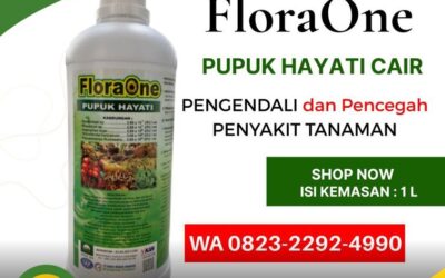 SEDANG DISKON!!! TELP! 0823-2292-4990, PABRIK Pupuk kakao agar berbuah lebat Polewali Mandar, JUAL Pupuk kakao baru tanam Mamuju, AGEN Pupuk kakao yang bagus Majene