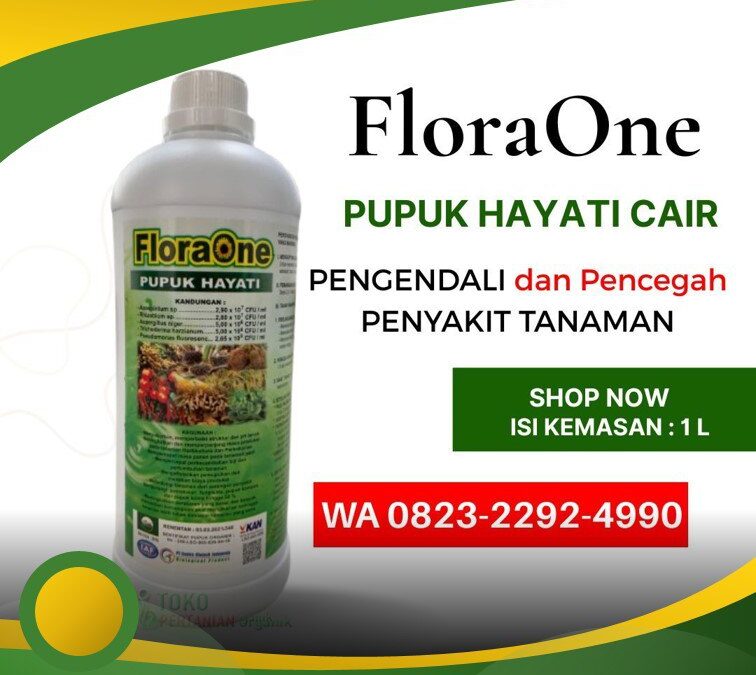 SEDANG DISKON!!! TELP! 0823-2292-4990, PABRIK Pupuk kakao agar berbuah lebat Polewali Mandar, JUAL Pupuk kakao baru tanam Mamuju, AGEN Pupuk kakao yang bagus Majene