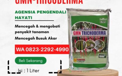 ASLI!!! TELP! 0823-2292-4990, SUPPLIER trikoderma Pupuk organik Magetan, PENYEDIA trikoderma fungisida Nganjuk, PABRIK tricoderma fungisida Surabaya