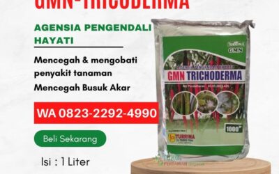 PROMO AMBYAR!!! TELP! 0823-2292-4990, PENYEDIA trikoderma fungisida Nganjuk, PABRIK tricoderma fungisida Surabaya, JUAL tricoderma cabai Ngawi