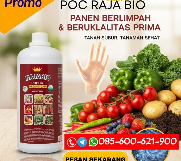 TERBAIK!!! TELP! 0856-0062-1900, DISTRIBUTOR Pupuk buah bawang Subang, PRODUSEN Pupuk buah bawang merah Bogor, TOKO Pupuk pembesar buah bawang Bandung
