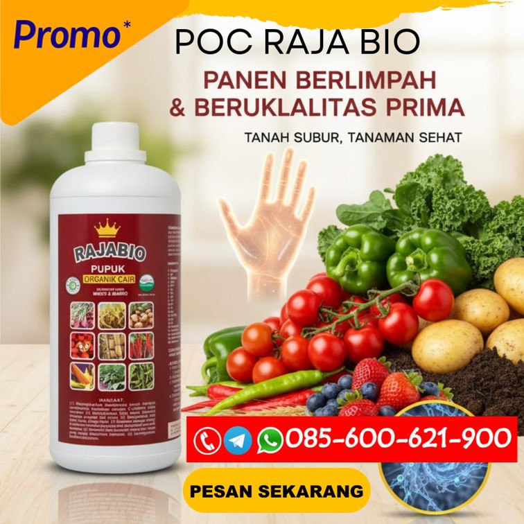 TERBAIK!!! TELP! 0856-0062-1900, DISTRIBUTOR Pupuk buah bawang Subang, PRODUSEN Pupuk buah bawang merah Bogor, TOKO Pupuk pembesar buah bawang Bandung