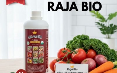 SEDANG PROMO!!! TELP! 0823-2292-4990, SUPPLIER Pupuk daun padi cair Mamuju Tengah