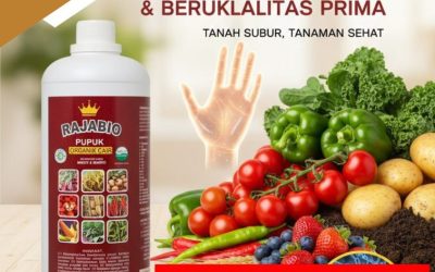 ALAMI!!! TELP! 0856-0062-1900, JUAL Pupuk organik cair booster Karawang, AGEN Pupuk organik cair botol Cirebon, DISTRIBUTOR Pupuk buah bawang Subang