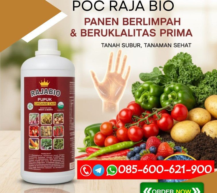 ALAMI!!! TELP! 0856-0062-1900, JUAL Pupuk organik cair booster Karawang, AGEN Pupuk organik cair botol Cirebon, DISTRIBUTOR Pupuk buah bawang Subang