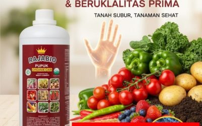 ORGANIK!!! TELP! 0856-0062-1900, PABRIK Pupuk organik cair (POC) Cianjur, JUAL Pupuk organik cair booster Karawang, AGEN Pupuk organik cair botol Cirebon