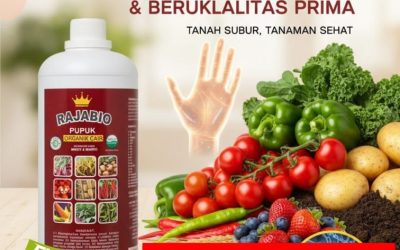 SEDANG DISKON!!! TELP! 0856-0062-1900, PENYEDIA Pupuk organik RAJABIO Pangandaran, PABRIK Pupuk organik cair (POC) Cianjur, JUAL Pupuk organik cair booster Karawang