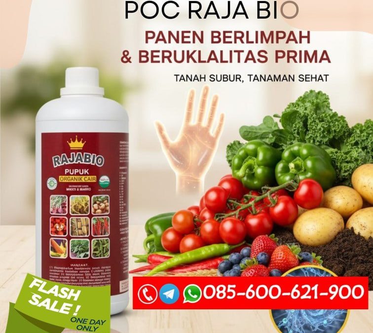 SEDANG DISKON!!! TELP! 0856-0062-1900, PENYEDIA Pupuk organik RAJABIO Pangandaran, PABRIK Pupuk organik cair (POC) Cianjur, JUAL Pupuk organik cair booster Karawang