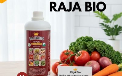 ORGANIK!!! TELP! 0823-2292-4990, PABRIK Pupuk padi darat Bombana, JUAL Pupuk padi fase vegetatif Maros