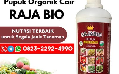SEDANG PROMO!!! TELP! 0823-2292-4990, TOKO Pupuk padi agar beranak banyak Banyuwangi, SUPPLIER Pupuk padi bunting Madiun