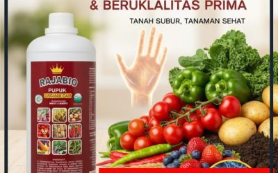 AMPUH!!! TELP! 0856-0062-1900, AGEN Pupuk organik cair botol Cirebon, DISTRIBUTOR Pupuk buah bawang Subang, PRODUSEN Pupuk buah bawang merah Bogor