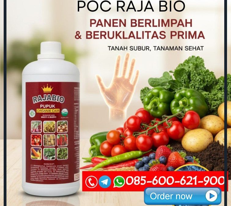 AMPUH!!! TELP! 0856-0062-1900, AGEN Pupuk organik cair botol Cirebon, DISTRIBUTOR Pupuk buah bawang Subang, PRODUSEN Pupuk buah bawang merah Bogor