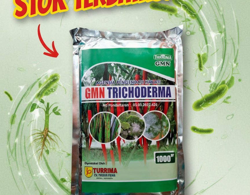SEDANG DISKON!!! TELP! 0813-2747-3262, TOKO Pupuk GMN Trichoderma Kediri, SUPPLIER Pupuk hayati Trichoderma Pasuruan, PENYEDIA Pupuk Trichoderma untuk layu fusarium Jombang