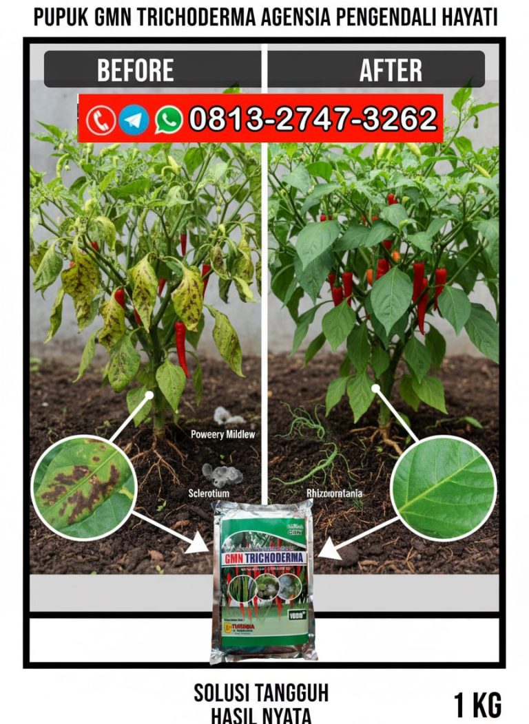 ORGANIK!!! TELP! 0813-2747-3262, SUPPLIER Pupuk hayati Trichoderma Pasuruan, PENYEDIA Pupuk Trichoderma untuk layu fusarium Jombang, PABRIK Pupuk Trichoderma 1 kg Lamongan