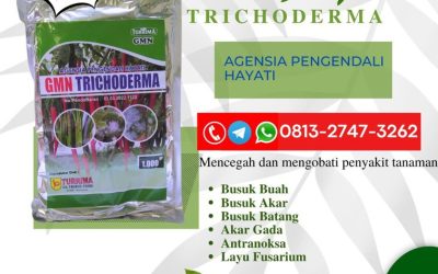 SEDANG DISKON!!! TELP! 0813-2747-3262, PABRIK Trichoderma hayati Tabanan, JUAL Trichoderma 1 kg Jembrana