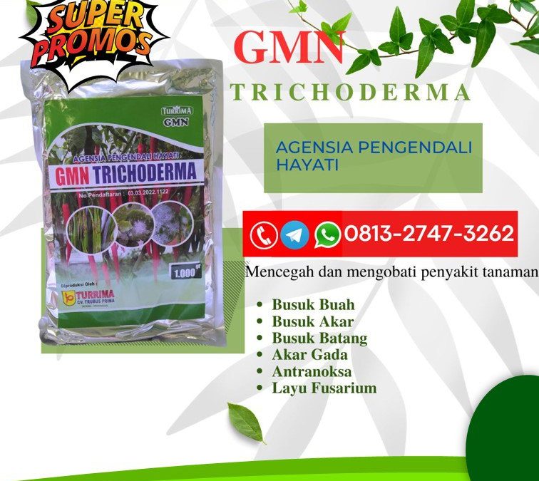 SEDANG DISKON!!! TELP! 0813-2747-3262, PABRIK Trichoderma hayati Tabanan, JUAL Trichoderma 1 kg Jembrana