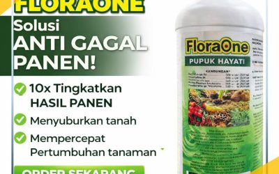 ORGANIK!!! TELP! 0812-2882-4834, PABRIK Pupuk daun jagung hibrida Belu, JUAL Pupuk dasar jagung manis Alor, AGEN Pupuk jagung FLORAONE Malaka