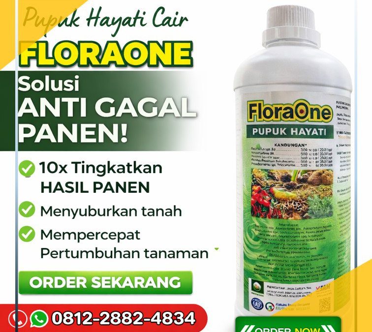 ORGANIK!!! TELP! 0812-2882-4834, PABRIK Pupuk daun jagung hibrida Belu, JUAL Pupuk dasar jagung manis Alor, AGEN Pupuk jagung FLORAONE Malaka