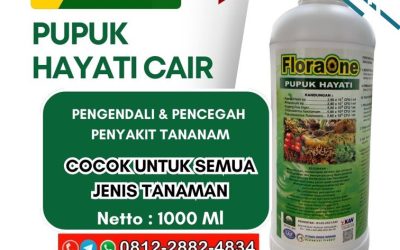 ORGANIK!!! TELP! 0812-2882-4834, SUPPLIER Pupuk cair cabe rawit Sibolga, PENYEDIA Pupuk cair floraone Langkat, PABRIK Pupuk cair lengkap Binjai