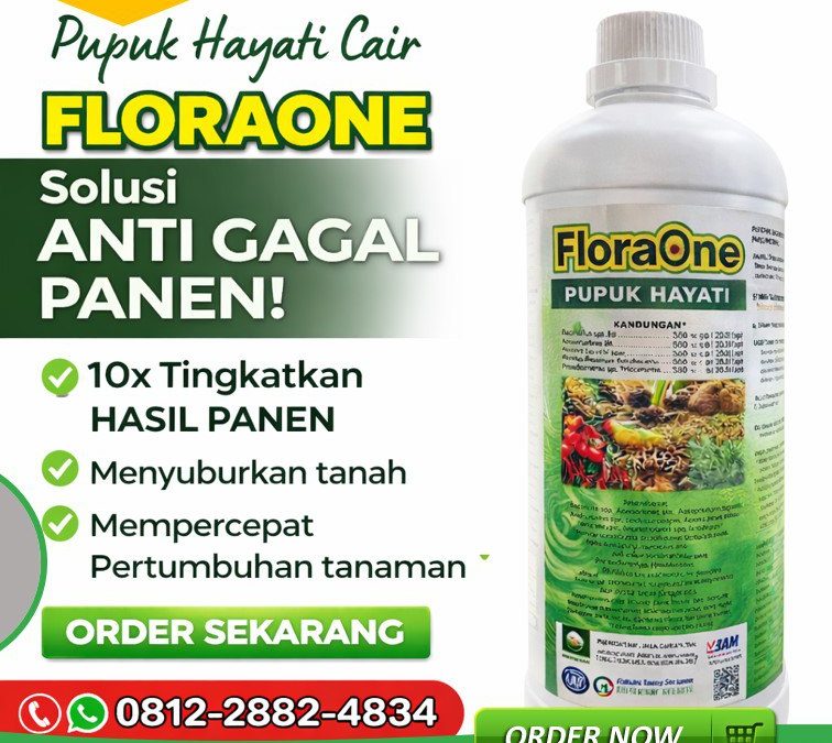 ALAMI!!! TELP! 0812-2882-4834, JUAL Pupuk dasar jagung manis Alor, AGEN Pupuk jagung FLORAONE Malaka, DISTRIBUTOR Pupuk jagung fase vegetatif Ngada