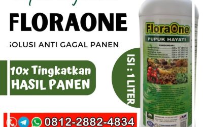 TERPERCAYA!!! TELP! 0812-2882-4834, DISTRIBUTOR Pupuk jagung biar cepat besar Dharmasraya, PRODUSEN Pupuk jagung bagus Kota Padang, TOKO Pupuk buat jagung Agam