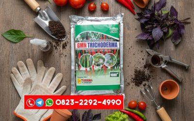 ORGANIK!!! TELP! 0823-2292-4990, AGEN Pupuk Padi cibatu genjah anti penyakit Aceh Barat, DISTRIBUTOR Pupuk Padi cakrabuana agritan pertama Aceh Selatan