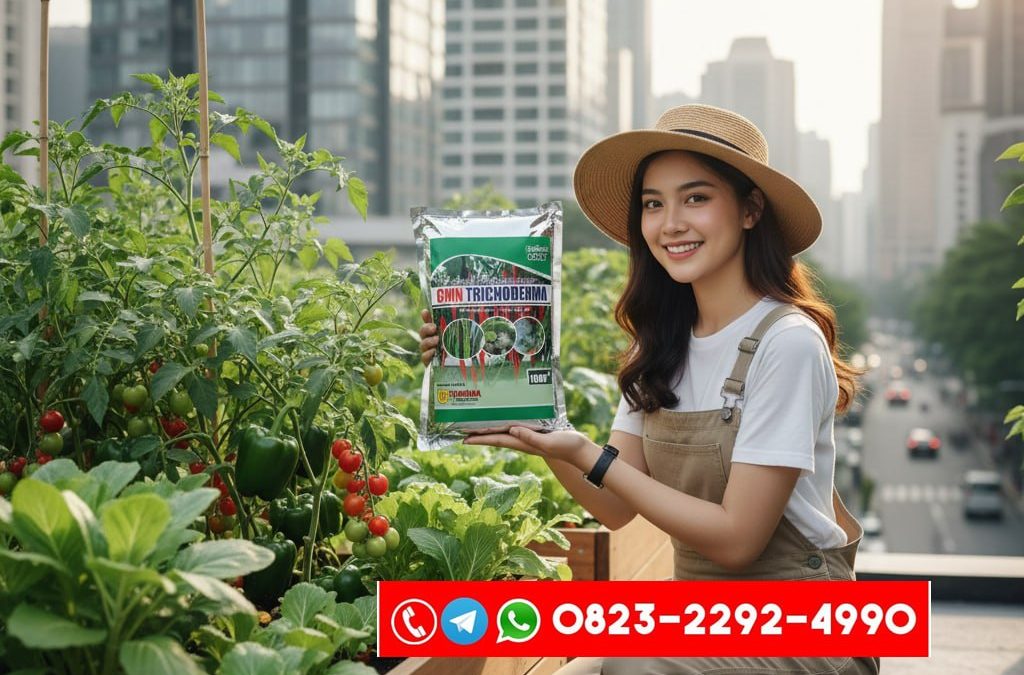 SEDANG DISKON!!! TELP! 0823-2292-4990, JUAL Pupuk Padi padi ciherang sugih masa vegetatif Pidie Jaya, AGEN Pupuk Padi cibatu genjah anti penyakit Aceh Barat