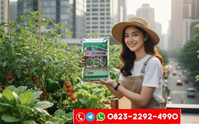 SEDANG DISKON!!! TELP! 0823-2292-4990, JUAL Pupuk Padi padi ciherang sugih masa vegetatif Pidie Jaya, AGEN Pupuk Padi cibatu genjah anti penyakit Aceh Barat