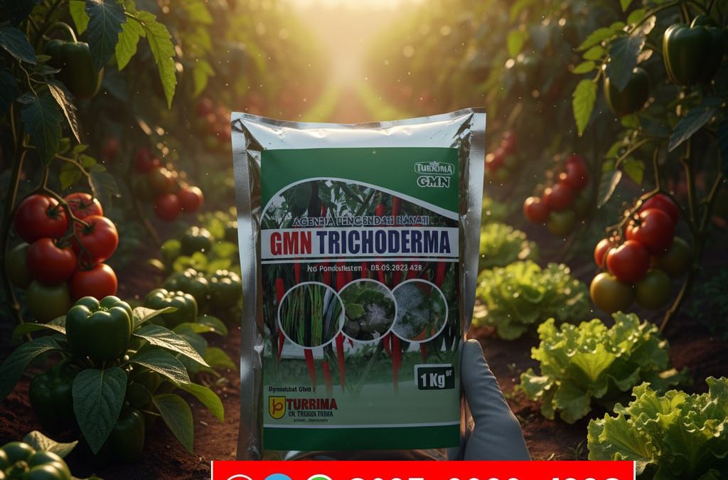 SEDANG PROMO!!! TELP! 0823-2292-4990, PABRIK Pupuk Padi ciherang jumbo Bireuen, JUAL Pupuk Padi padi ciherang sugih masa vegetatif Pidie Jaya