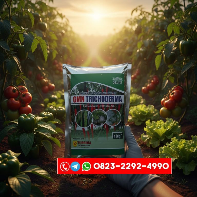 SEDANG PROMO!!! TELP! 0823-2292-4990, PABRIK Pupuk Padi ciherang jumbo Bireuen, JUAL Pupuk Padi padi ciherang sugih masa vegetatif Pidie Jaya