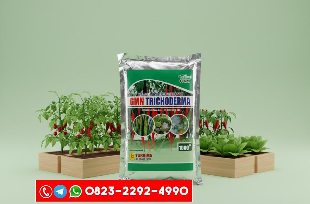 TERBAIK!!! TELP! 0823-2292-4990, DISTRIBUTOR Pupuk awal Tanaman Padi bridantara 8 Banda Aceh, PRODUSEN Pupuk awal tanaman Padi cakrabuana Aceh Utara