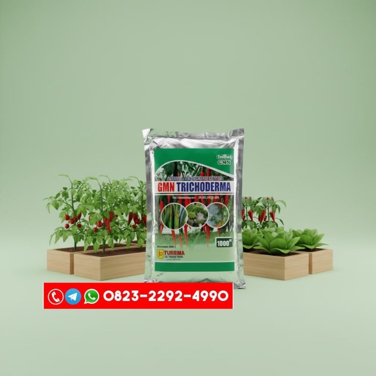TERBAIK!!! TELP! 0823-2292-4990, DISTRIBUTOR Pupuk awal Tanaman Padi bridantara 8 Banda Aceh, PRODUSEN Pupuk awal tanaman Padi cakrabuana Aceh Utara